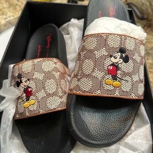 Disney X Coach slides